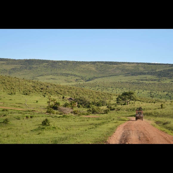 Obrick - Picture 1 of 1